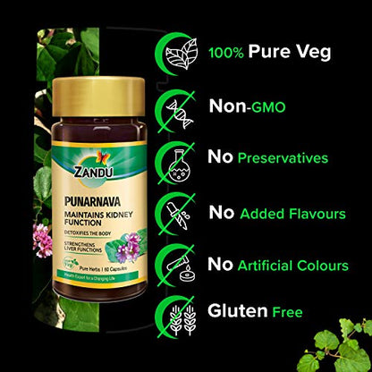 Zandu Punarnava Capsules, With Goodness of Natural Punarnava Extract known for Good Gut Health - (Pack of 60 Veg capsules x 2)