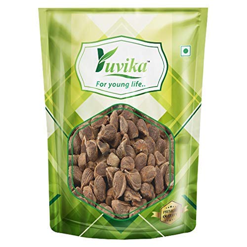 YUVIKA Beej Bidhara Asli - Vidhara Seeds - Vruddhadaru (50 Grams)