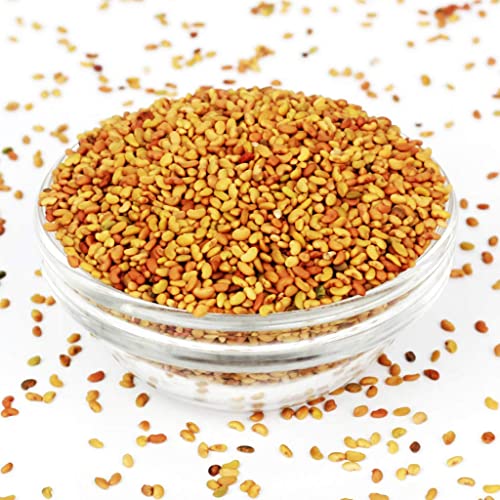 YUVIKA Alfa Seeds - Alfalfa Seeds (200 Grams)