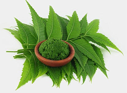 Neotea Neem Leaf Powder 500G