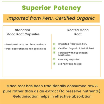 Rooted Actives Maca Root powder with Reishi Mushroom extract (90 Veg Caps, 750 mg) -Stamina, VirilitImported from Peru, Certified Organic, Gelatinised