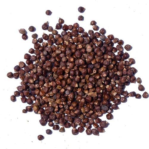 YUVIKA Tomar Seeds - Nepali Dhania - Tomar Beej - Beej Tomru (100 Grams)