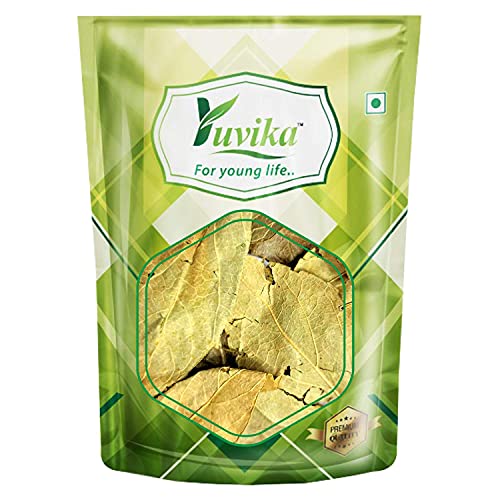 YUVIKA Harshringar Patta - Parijat Patta - Parijaat Leaves - Nyctanthes Arbor-Tristis - Night Jasmine (100 Grams)