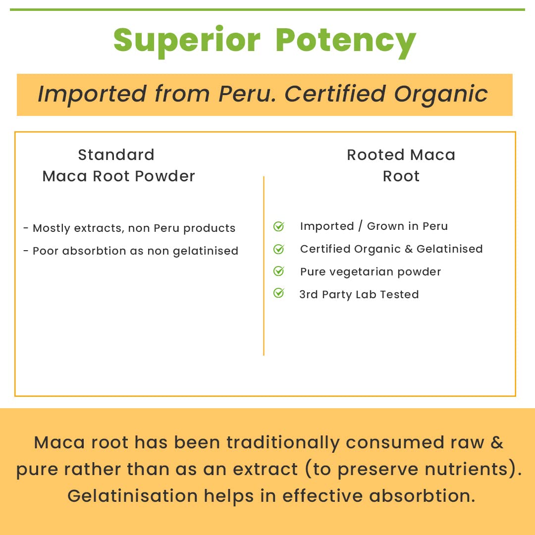 Rooted Actives Maca Root Extract powder (100 g) -Stamina, Virility, Hormonal support| Imported from Peru, Certified Organic, Gelatinised