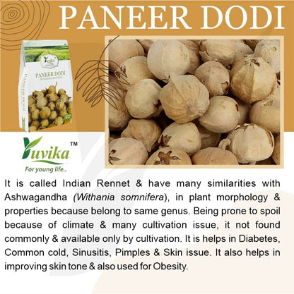 YUVIKA Paneer Dodi Powder - Paneer Doda Powder - Withania Coagulans (200 Grams)