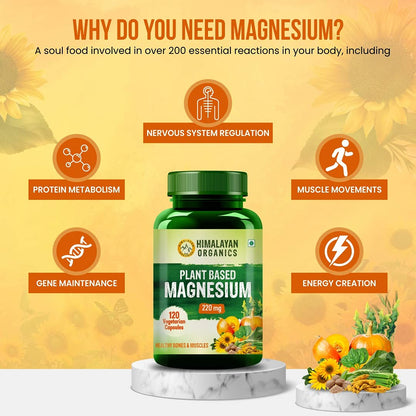 Himalayan Organics Plant Based Magnesium Supplement 1360mg With Turmeric Spirulina, Wheatgrass, Mori Bone Health | Boost Energy Level - 60 Veg Tablets