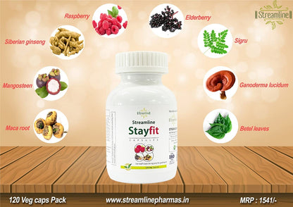 Streamline Stayfit Multivitamin Capsules | Plant-based with Ginseng & Elderberry | Immune Support Caorts Mood, Bone, Joints & Energy | 120 Veg Capsule