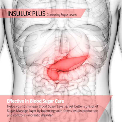 ANC Herbal Insulux Plus With Berberine and Milk Thistle for Diabetes Control 750mg 60 Capsules for Men and Women (Pack of 1)