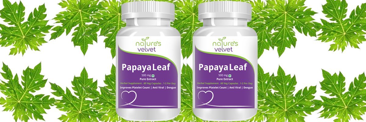 Natures Velvet Lifecare 500 mg Papaya Leaf Extract Tablet - 60 Capsules (Pack of 2)