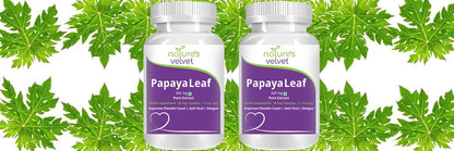 Natures Velvet Lifecare 500 mg Papaya Leaf Extract Tablet - 60 Capsules (Pack of 2)