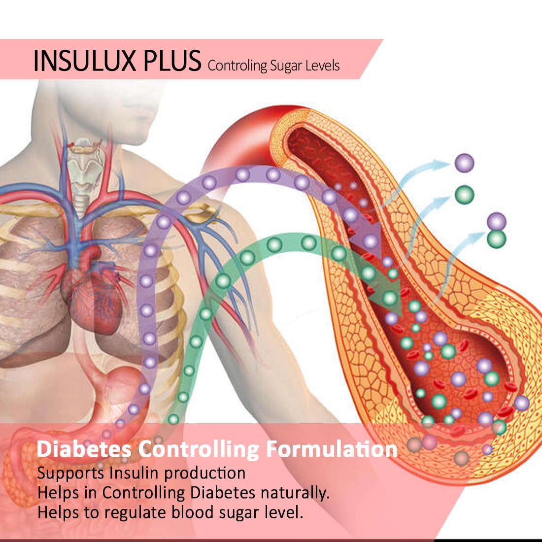 ANC Herbal Insulux Plus With Berberine and Milk Thistle for Diabetes Control 750mg 60 Capsules for Men and Women (Pack of 1)