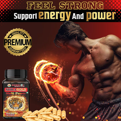 SHILAGOLD Capsules for Men Extra Power Contains 24 Carat Gold and Shilajit Increase Long Performance Stamina