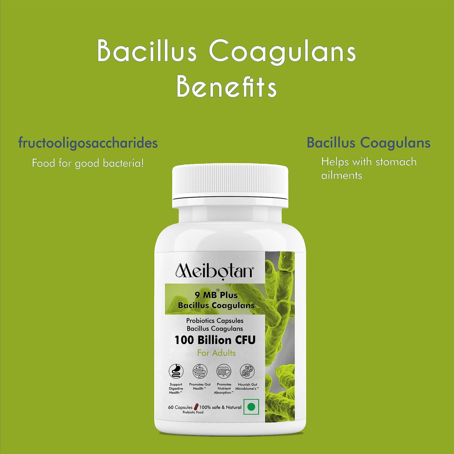 Meibotan Bacillus Coagulans 100 Billion - Natural Probiotic Supplement Supporting Digestive Health,derall Gut Health for Men & Women (60 Veg Capsules)