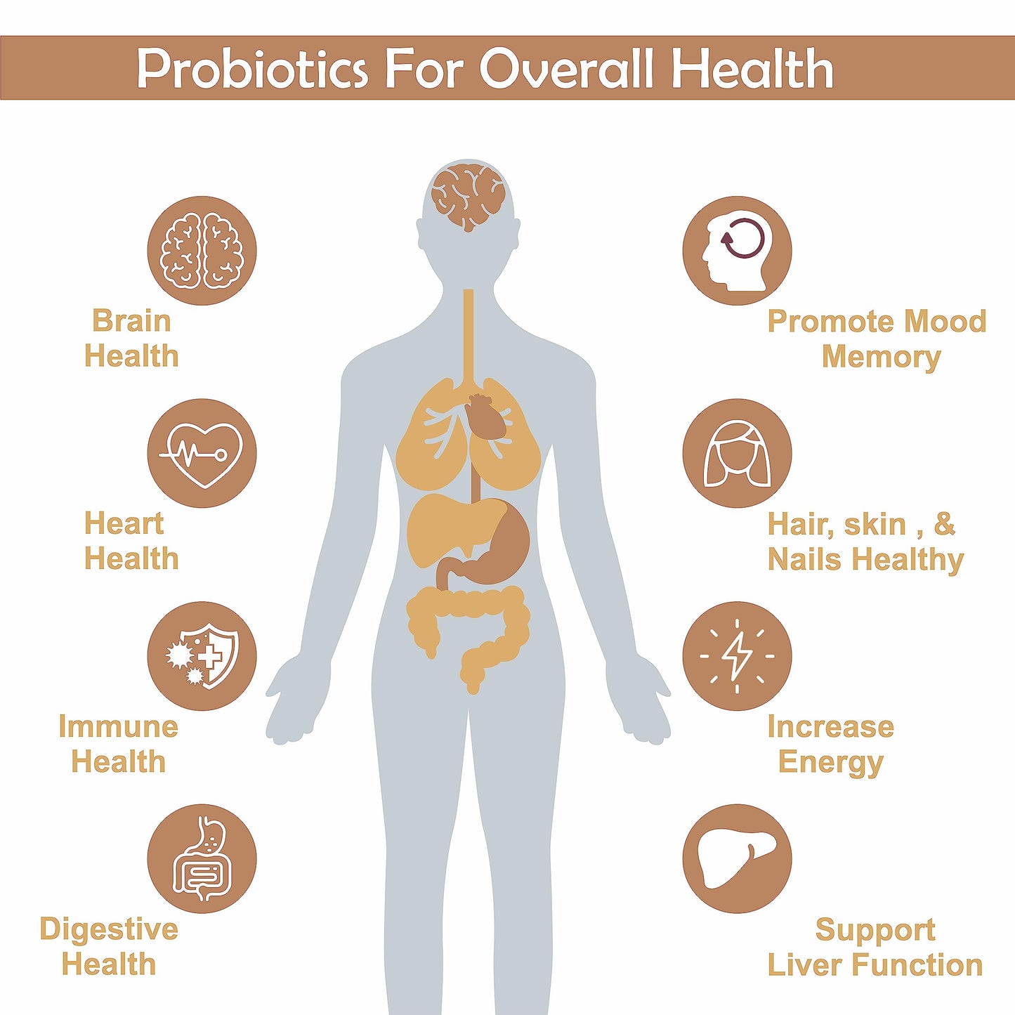 Meibotan No1 Probiotic Supplement Designed by Scientist Probiotics 120 Billion CFU For Men & Women wsystem Digestion Immunity Support- 60 Veg Capsules