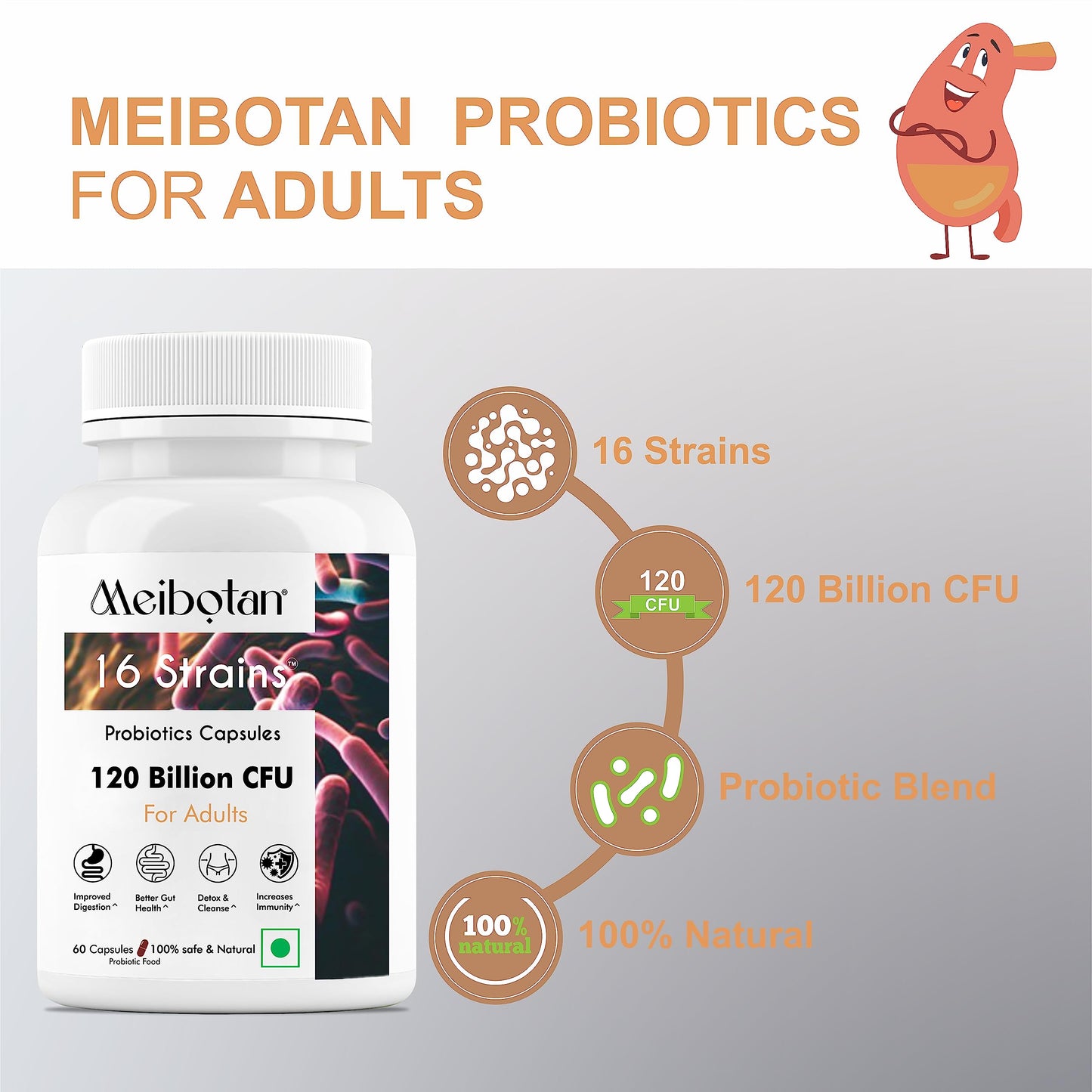 Meibotan No1 Probiotic Supplement Designed by Scientist Probiotics 120 Billion CFU For Men & Women wsystem Digestion Immunity Support- 60 Veg Capsules