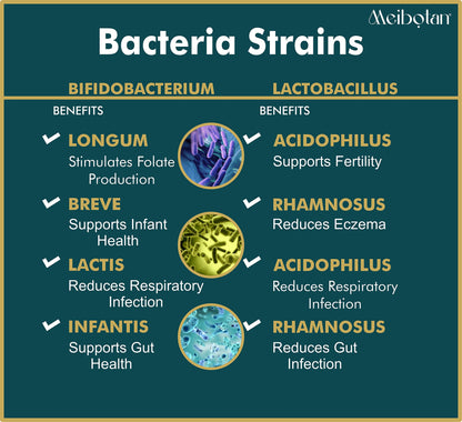 Meibotan Best Women Probiotics Designed by Scientist Lactobacillus with Bifidobacterium 16 Strains 8upport Detox & Cleanse 60 Veg Capsules (For Women)