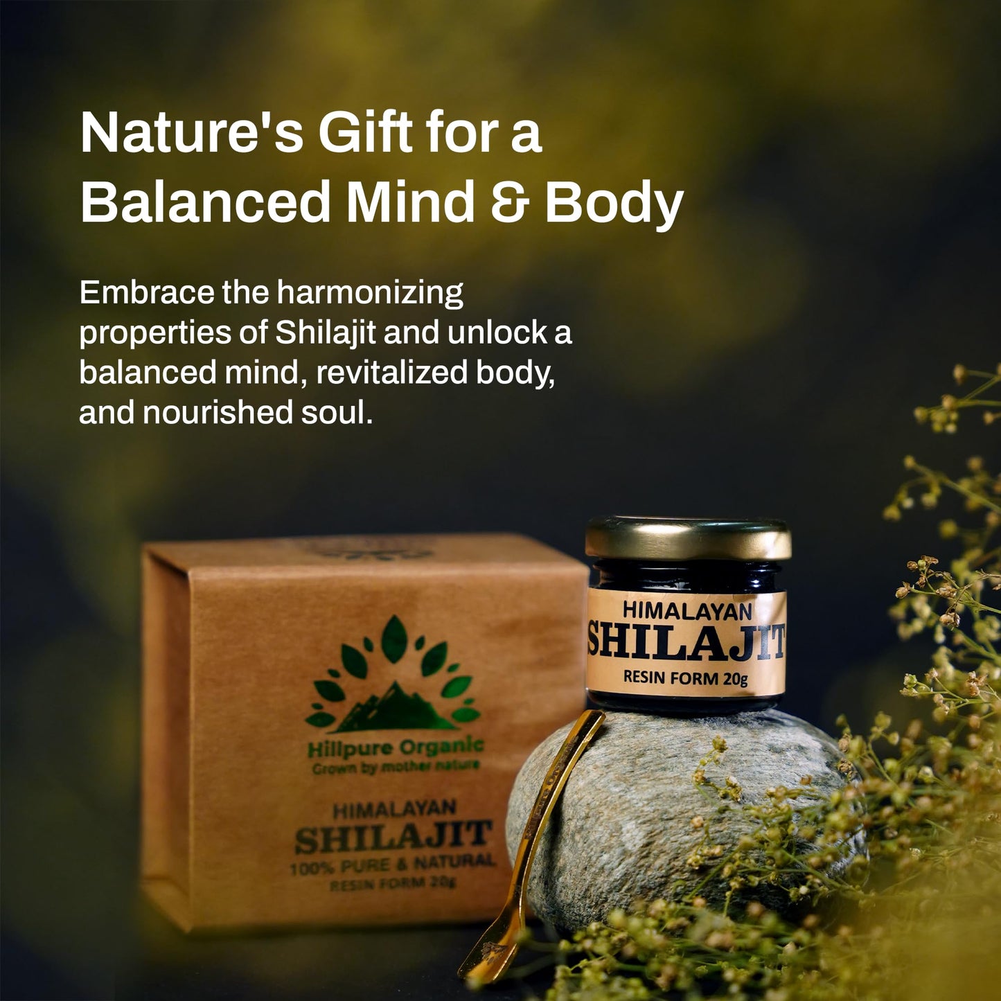 Hillpure Organic Himalayan Shilajit Resin | For Men and Women | Strength | Stamina | Focus | Vitality | 20 GM