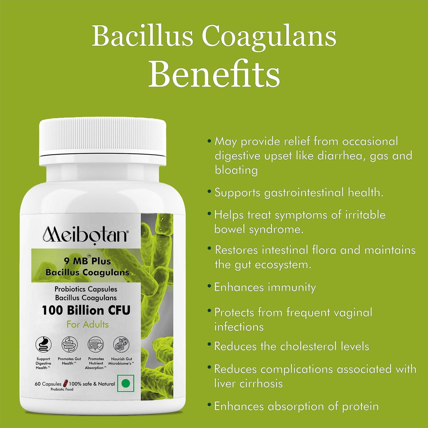 Meibotan Bacillus Coagulans 100 Billion - Natural Probiotic Supplement Supporting Digestive Health,derall Gut Health for Men & Women (60 Veg Capsules)